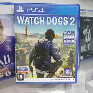 Игра Watch Dogs 2 русская версия для Playstation 4 PlayStation 5, Душанбе