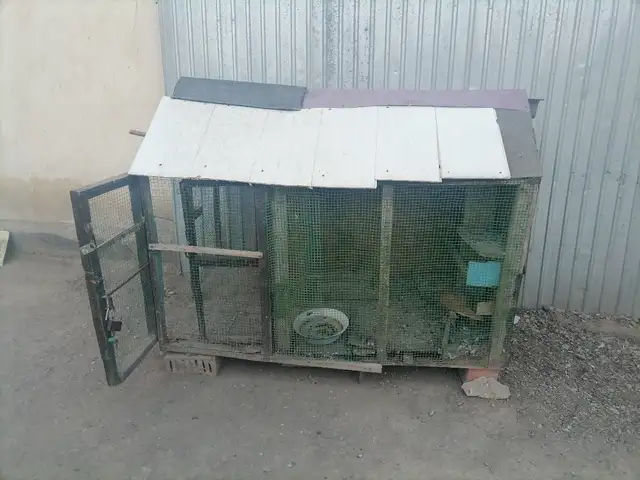 Клетка для птиц, Хуҷанд