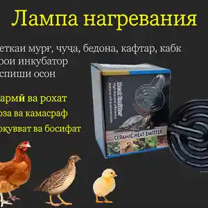 Греющая лампа 200Ватт инкубатор, Душанбе
