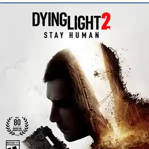 Игра Dying Light 2 Stay Human для Sony PS4/PS5, Душанбе