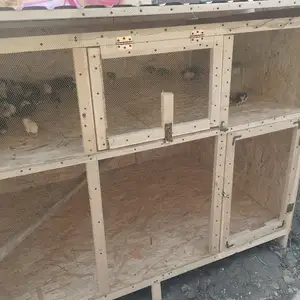 Катак, Конибодом