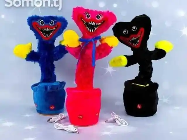 Музыкальный хаги, Душанбе