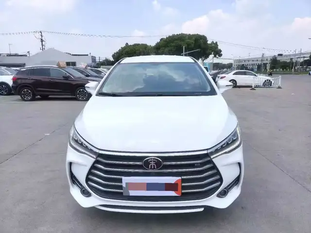 BYD Sea Lion 06