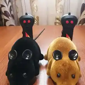 Мышка на пульте, Душанбе