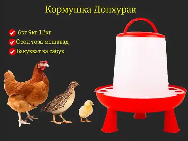 Донхурак/Кормушка почадор, Душанбе
