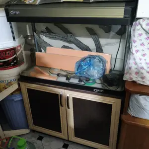 Аквариум, Душанбе