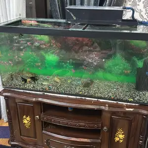 Аквариум 70 штук рыб, Душанбе
