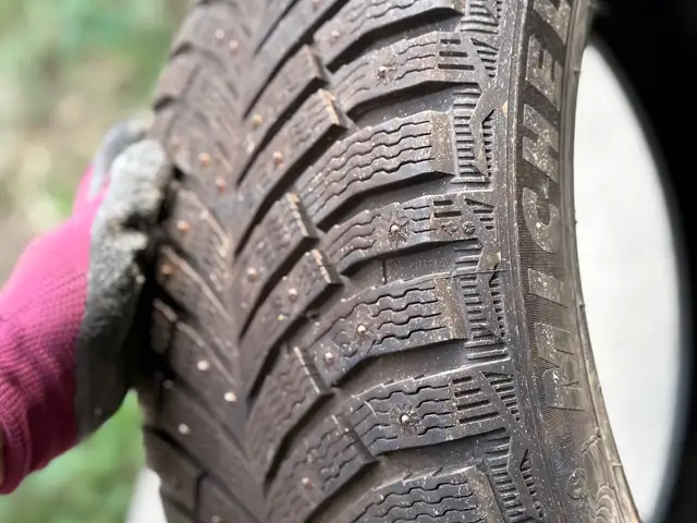 Шины R18 Michelin, Канибадам