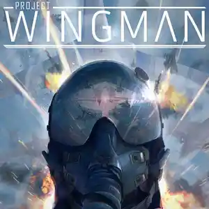 Игра Project wingman для компьютера-пк-pc, Душанбе