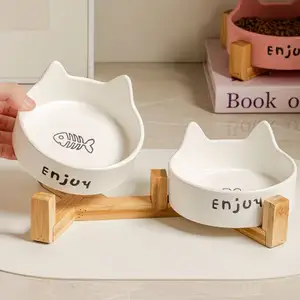 Кормушка для кошек, Душанбе