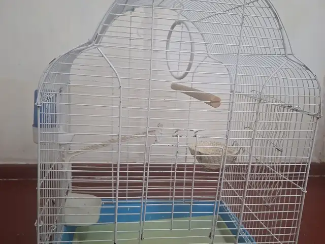 Клетка, Душанбе