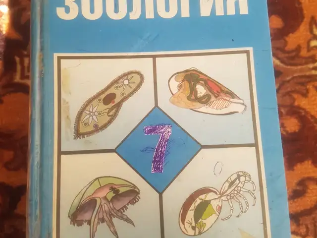 Китоб, Душанбе