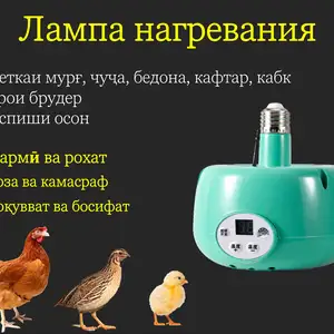 Греющая лампа вентилятор для брудера, Душанбе