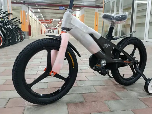Велосипед, Душанбе