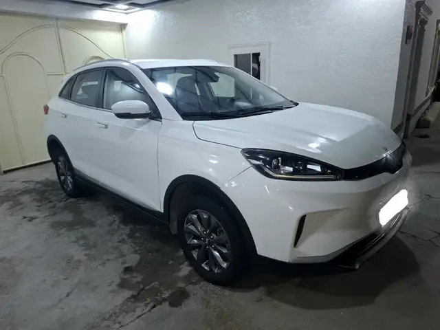 Weltmeister EX5