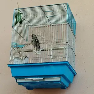 Саъба, Худжанд