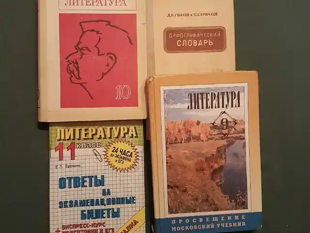 Учебник по литературе за 9 класс, Душанбе
