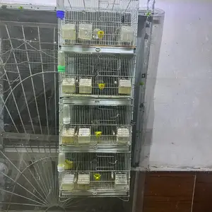 Кафас, Хуҷанд