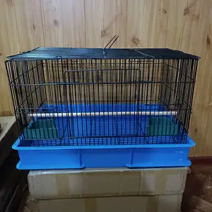 Большая клетка, Душанбе