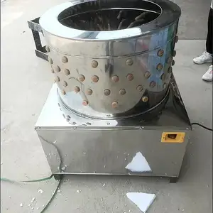 Партозакунаки Мург, Душанбе