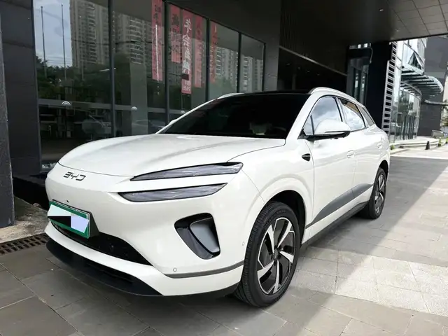 BYD Sea Lion 06