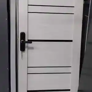 Дверь хай тек, Душанбе