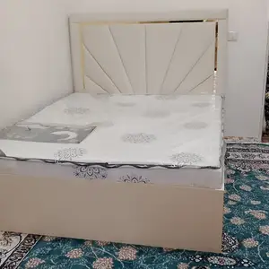 Двухспални крават, Душанбе