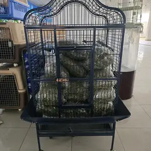 Большой вольер для крупных птиц, Душанбе