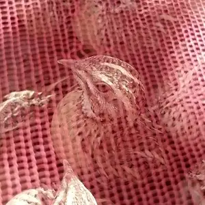 Бедона, Душанбе