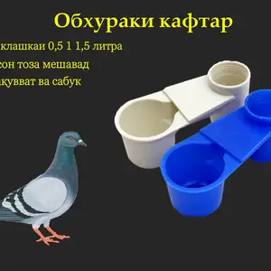 Поилка, Душанбе