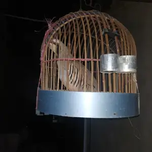 Кабк, Худжанд