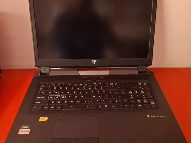 Ноутбук игровой Terrans force for Gaming ram 16G SSD256G +500HDD GTX1060 6G GTA5, Душанбе
