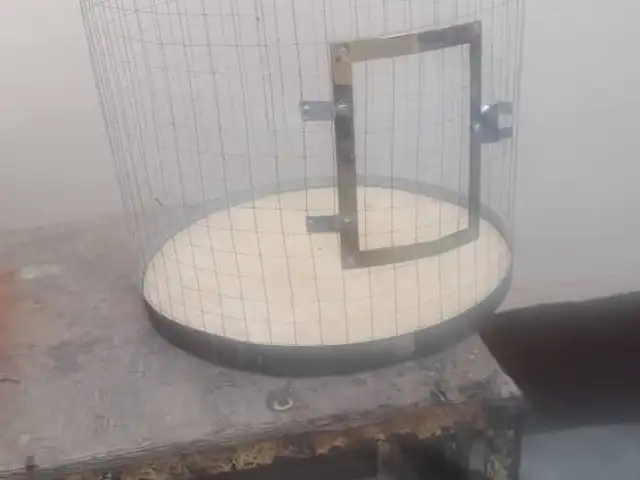 Клетка для птиц, Душанбе