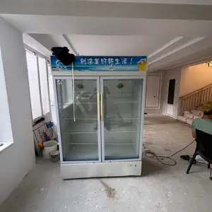 Холодильник, Панҷакент