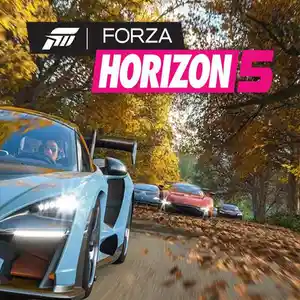 Игра Forza horizon 5 для компьютера-пк-pc, Душанбе