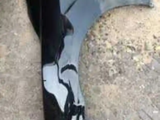Крыло от Toyota Camry, Душанбе