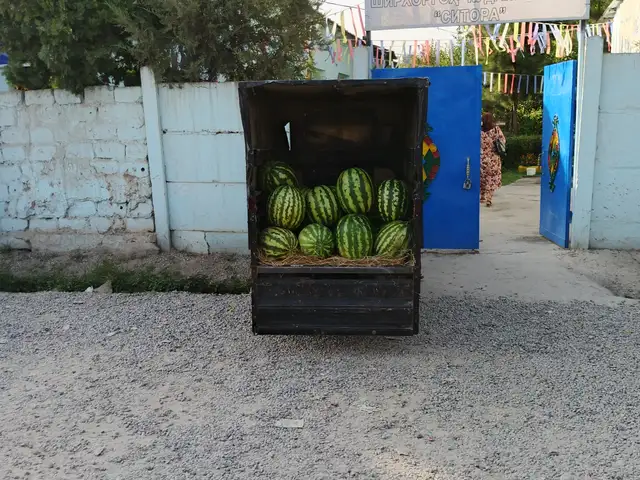 Мотороллер, Ваҳдат