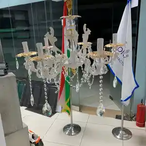 Люстра королевский, Душанбе