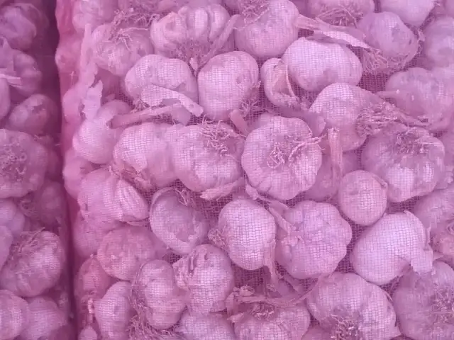 Чеснок, Турсунзаде