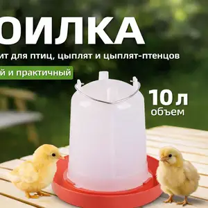 Обхурак/Поилка 10литр для кур, Душанбе