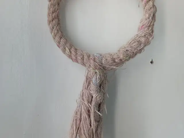 Кольцо для попугая, Душанбе