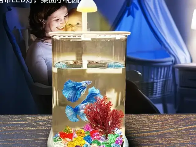 Мини Настольный Аквариум, Душанбе