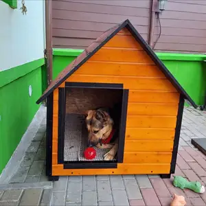 Будка, Душанбе
