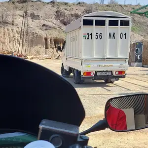 Борт, Душанбе