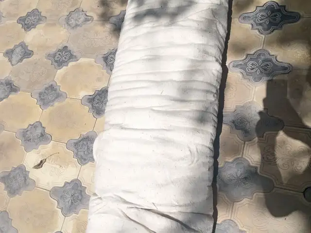 Тухми газон, Душанбе - 7