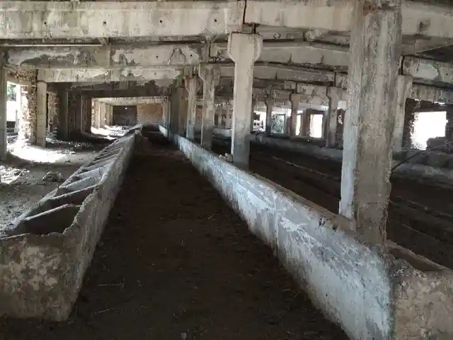 Ферма, Рудаки