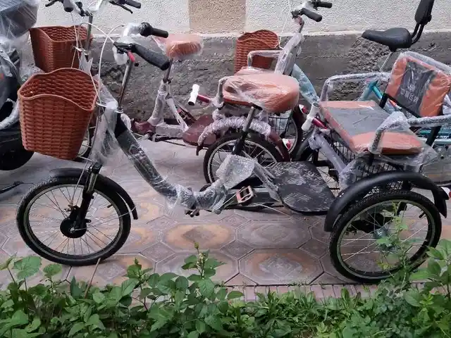 Трёхколёсный велосипед, Душанбе