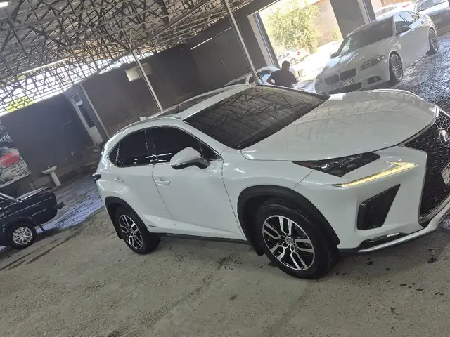 Lexus NX series