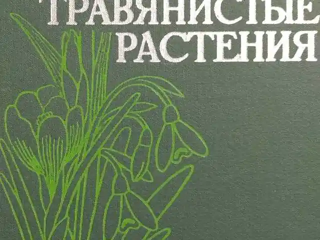 Книга Декоративные травянистые растения, Душанбе