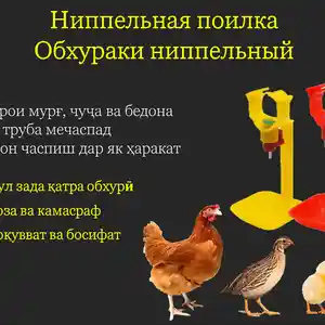Поилка/Обхураки ниппелӣ трубагӣ, Душанбе